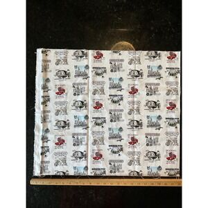 Harry Potter Wizarding World Cotton Fabric Remnant Hogwarts Diagon Alley 21x18